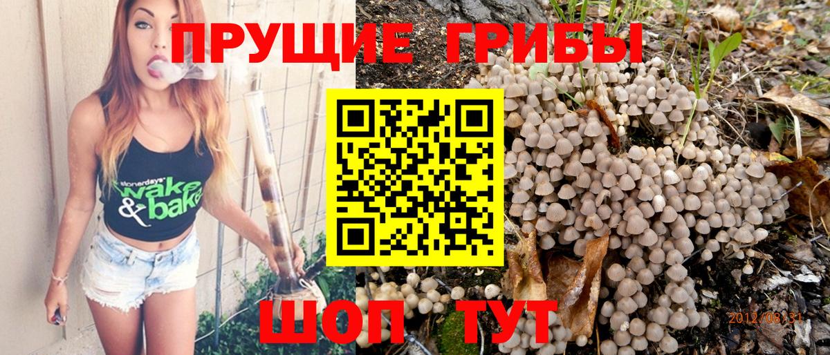 Рязань  Псилоцибиновые грибы MAGIC MUSHROOMS  Вход с VPN 